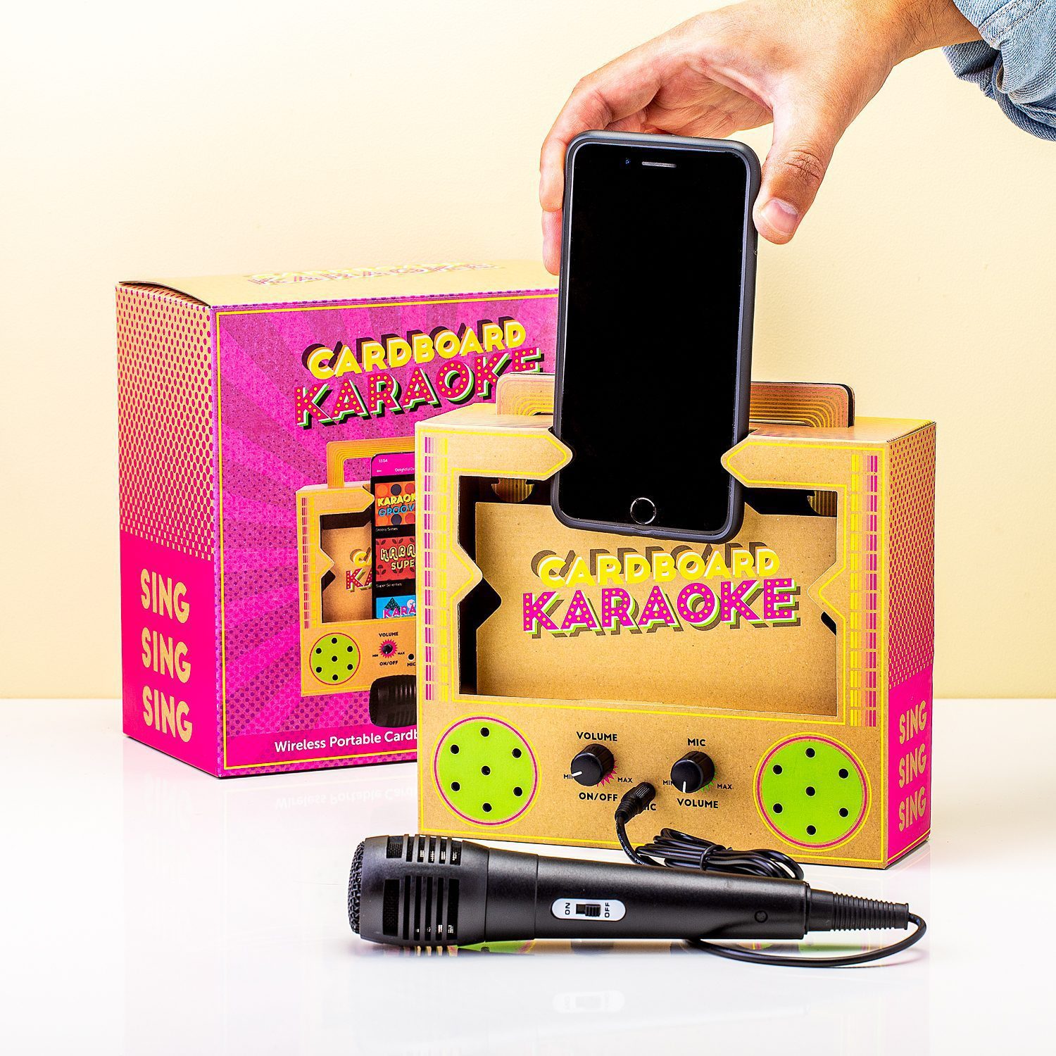 Cardboard Karaoke