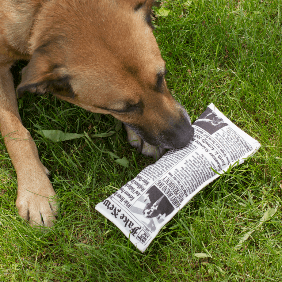Fake News Krant Hondenspeeltje