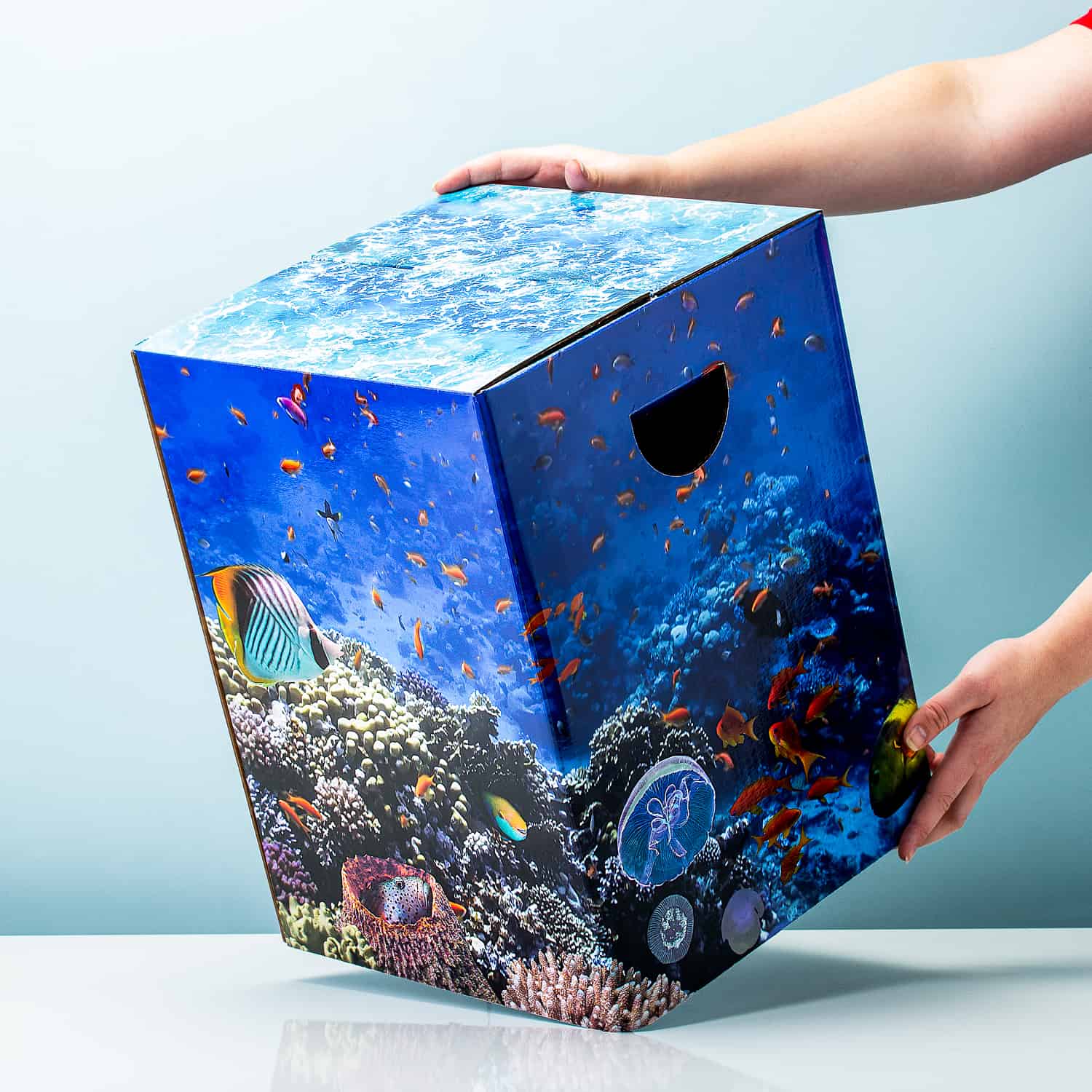 Kartonnen Kruk - Aquarium