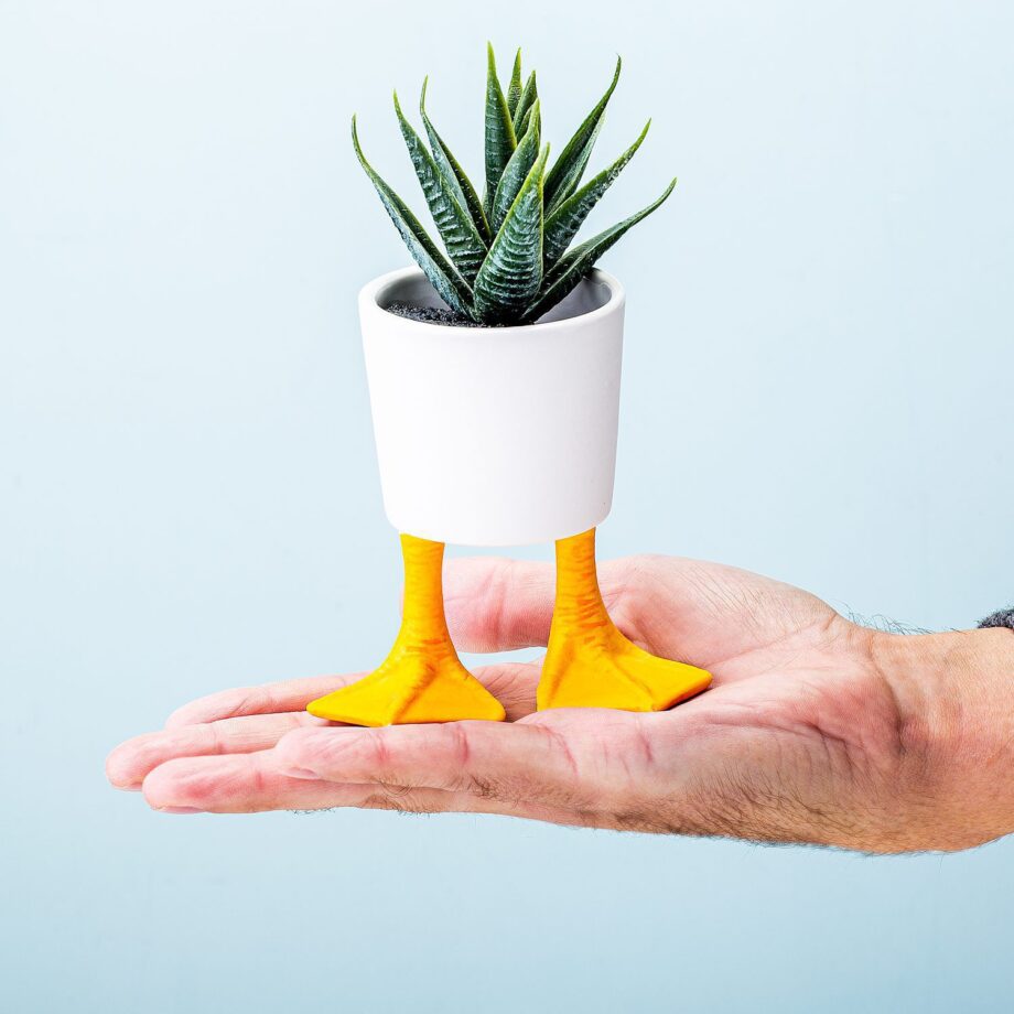 Bloempot met eendenpoten