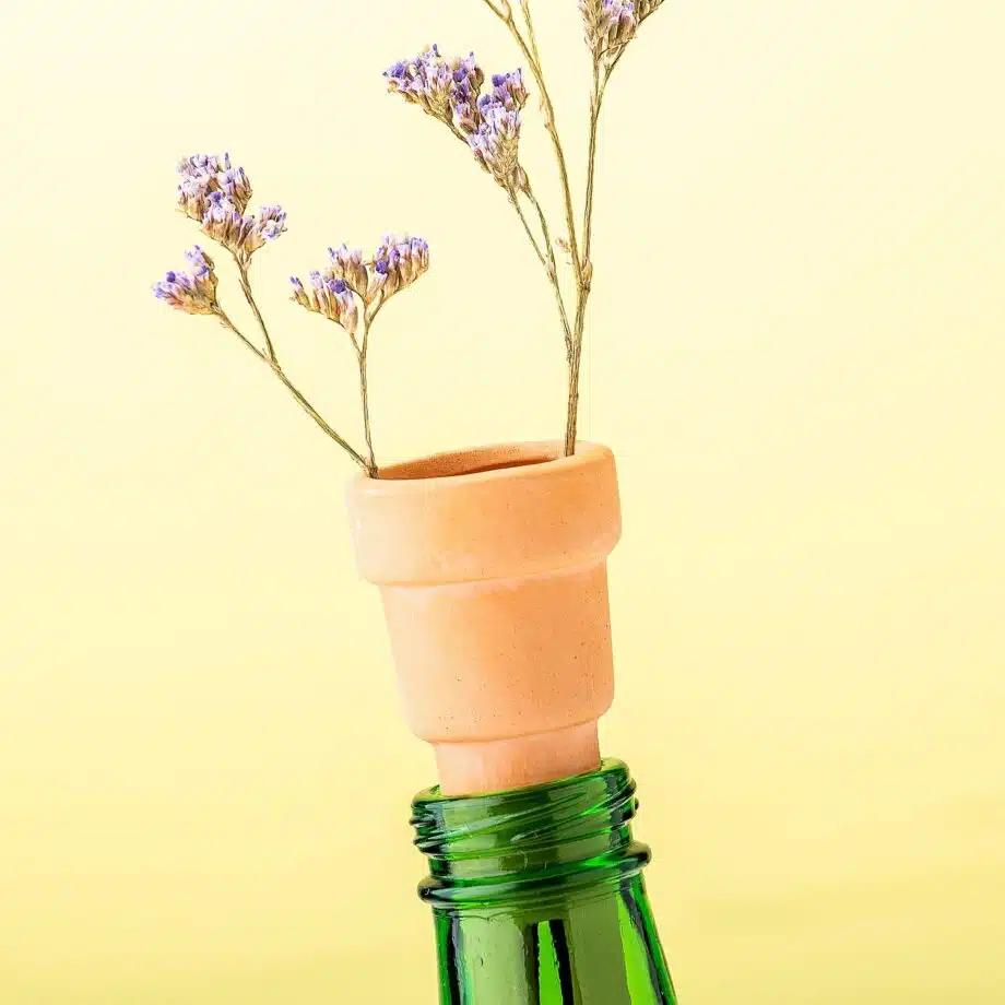 Bottle top herb planters (set van 3)
