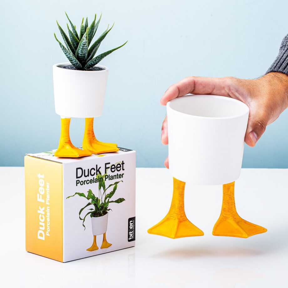 Bloempot met eendenpoten