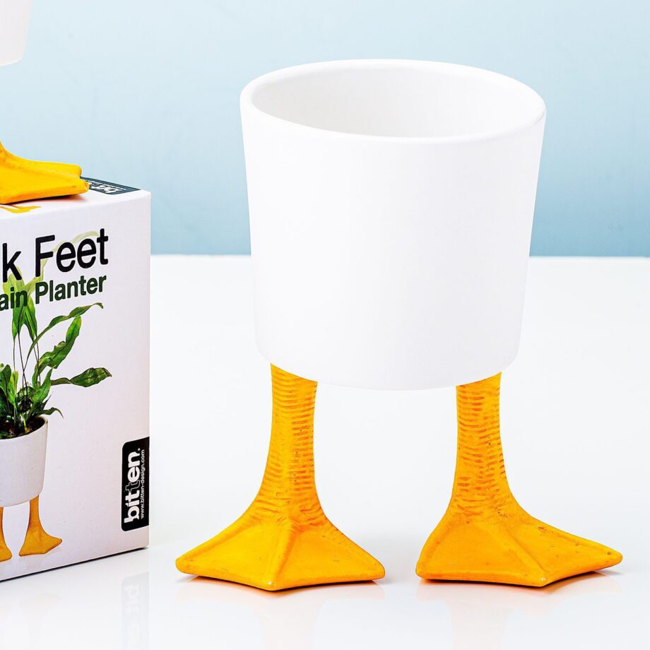 Bloempot met eendenpoten