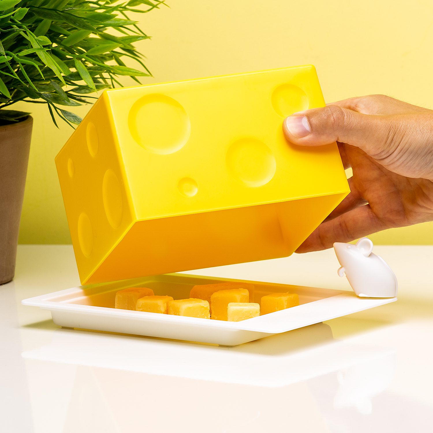 I Love Cheese Kaasdoos