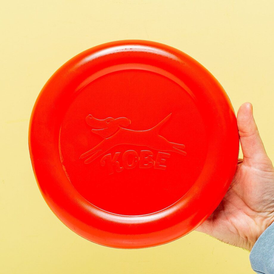 Frisbee voor hond met bacongeur