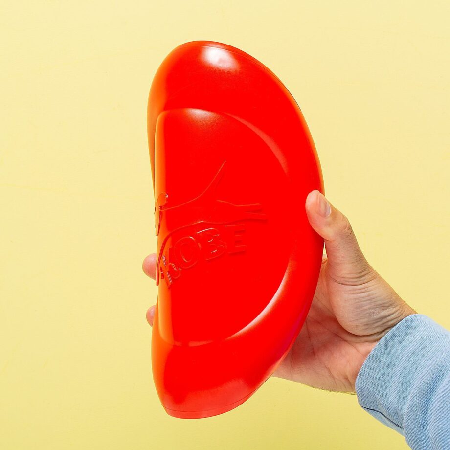 Frisbee voor hond met bacongeur