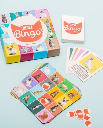 Huisdier bingo - Kat