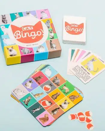 Huisdier bingo - Kat