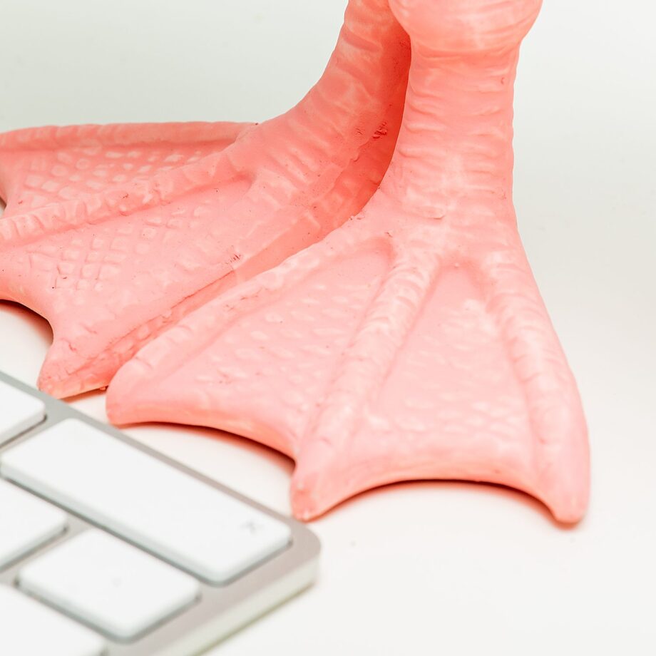 Bloempot met flamingopoten