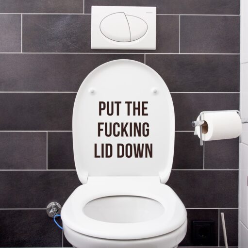Put The Fucking Lid Down toiletsticker