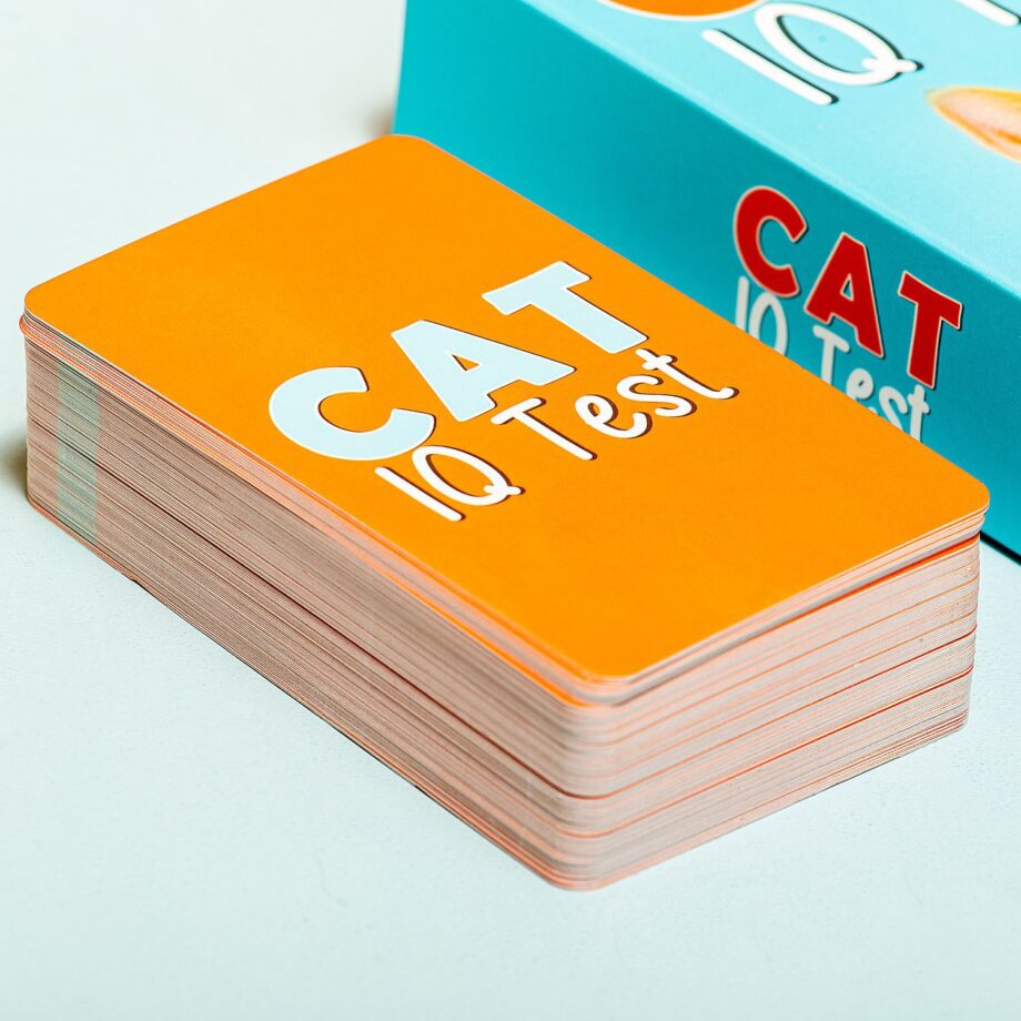 Kat IQ test