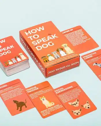 How to speak kaarten - Hond