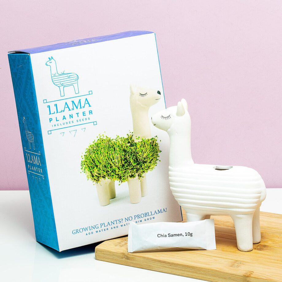 Lama bloempot met zaadjes
