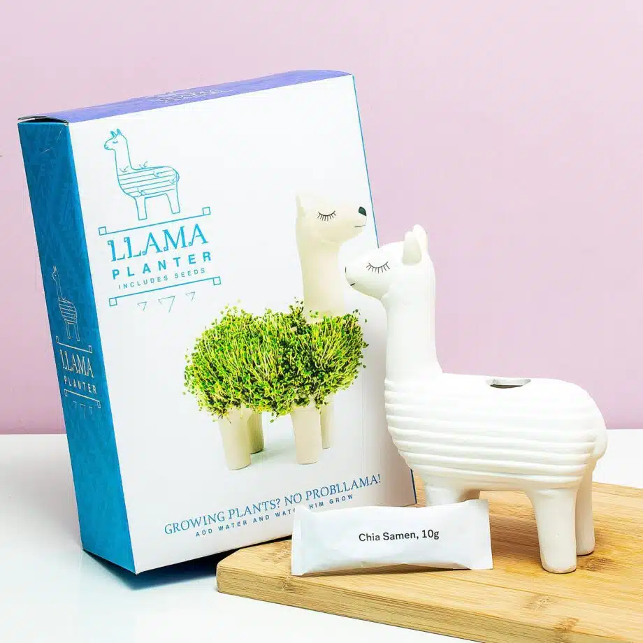 Lama bloempot met zaadjes