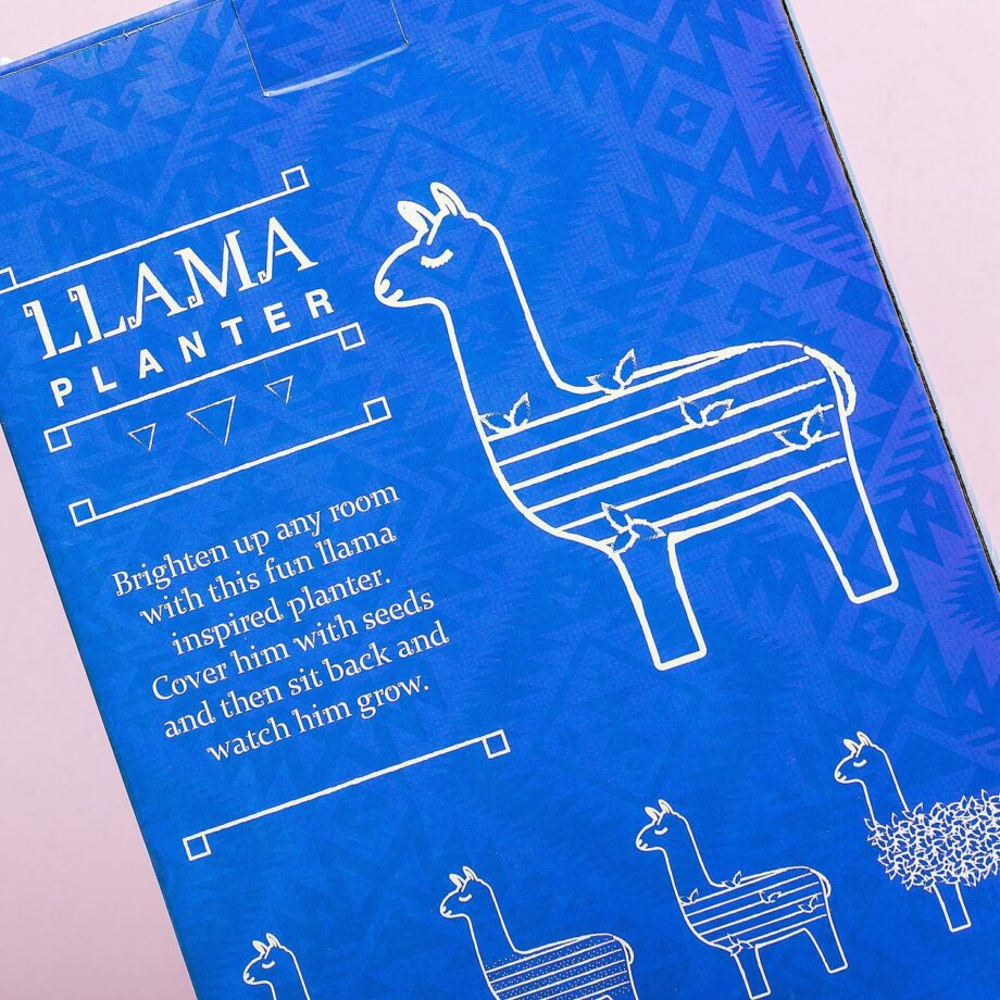 Lama bloempot met zaadjes