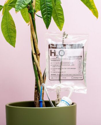 Infuuszak bewateringssysteem voor planten
