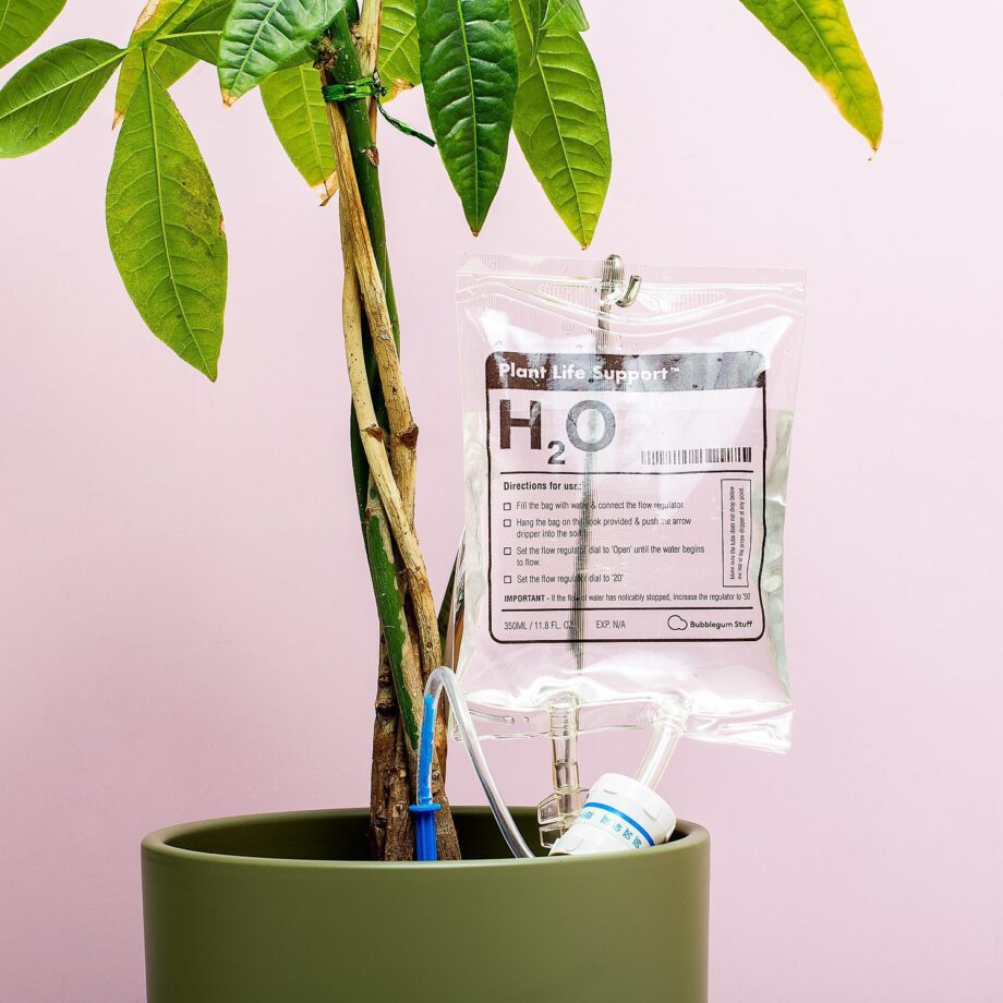 Infuuszak bewateringssysteem voor planten