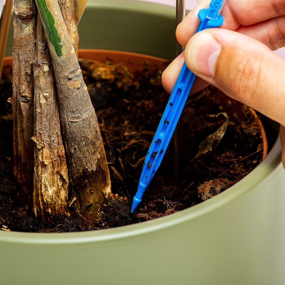 Infuuszak bewateringssysteem voor planten