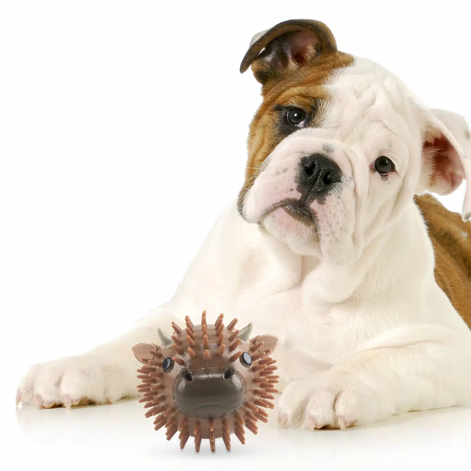 Piepbal voor hond met geur