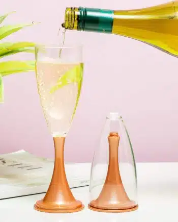 Outdoor proseccoglazen (set van 2)