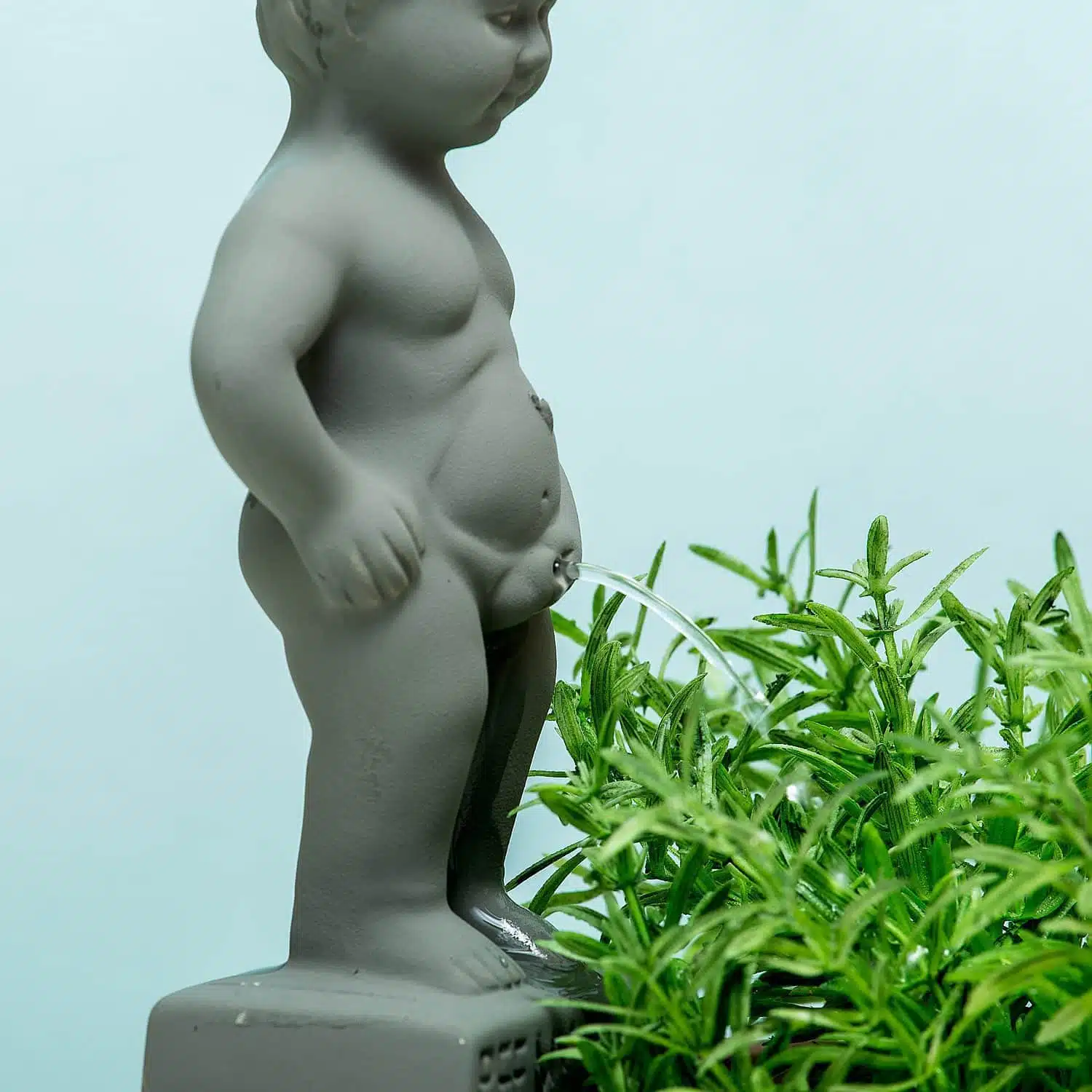 Pee My Plants minifontein