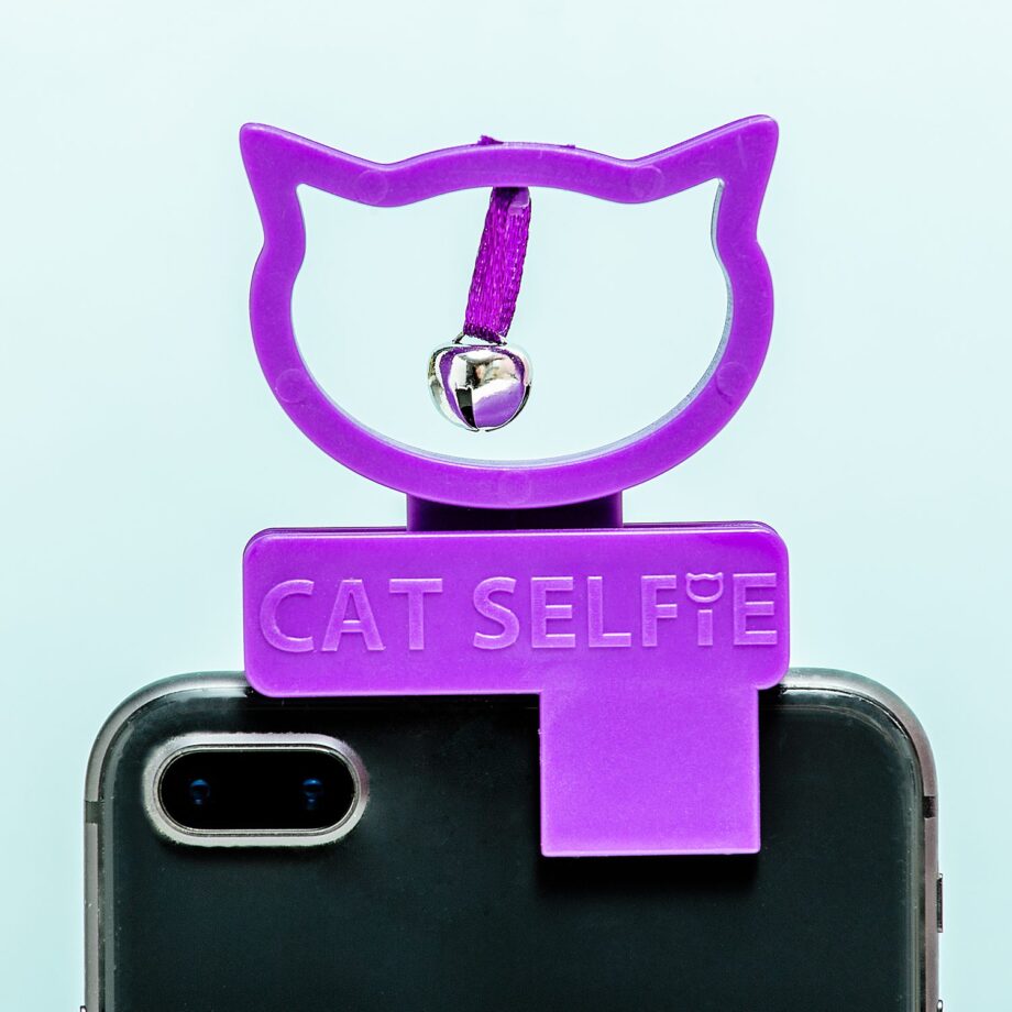 Cat selfie