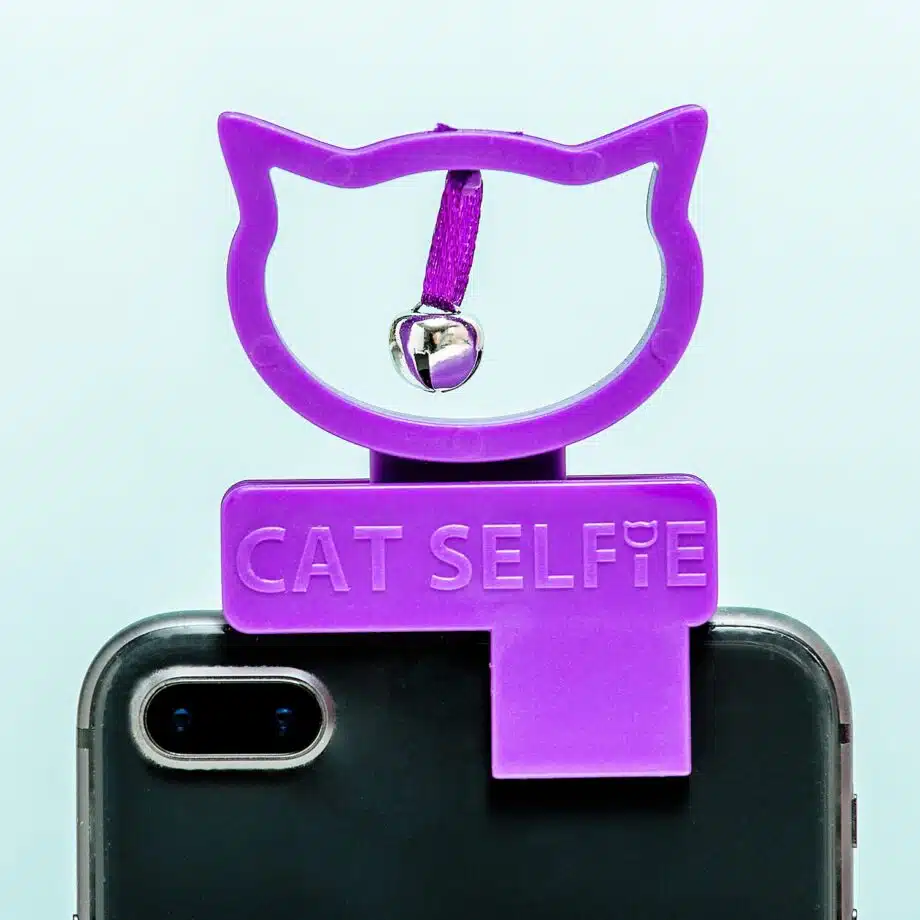 Cat selfie