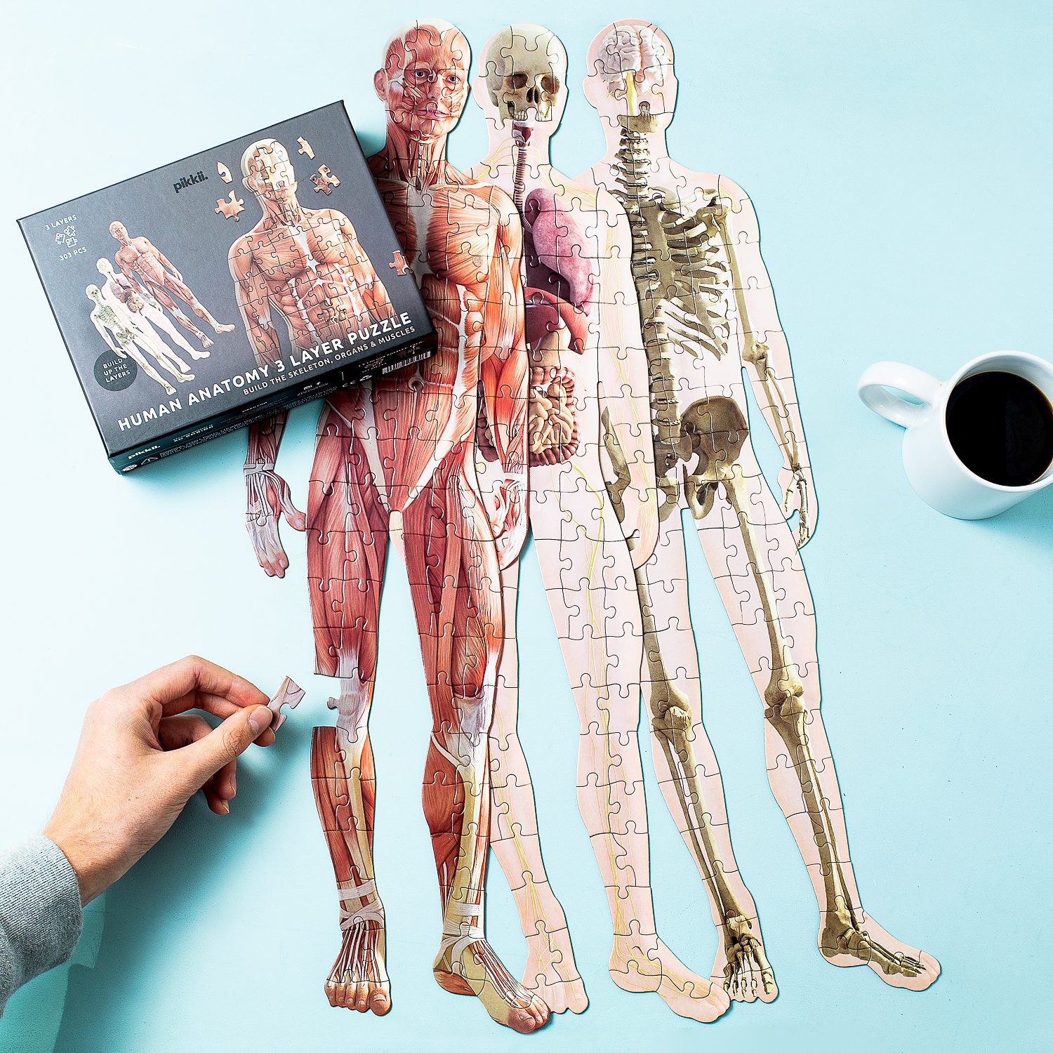 Menselijke Anatomie Puzzel (303 Stukjes)