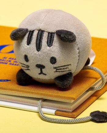 Knuffelige boekenlegger - Kat