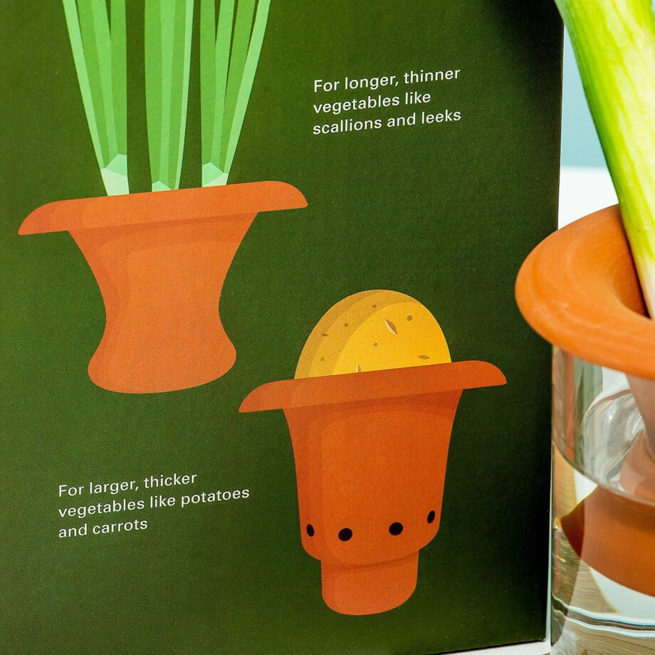 Terracotta regrower voor groenten (set van 2)