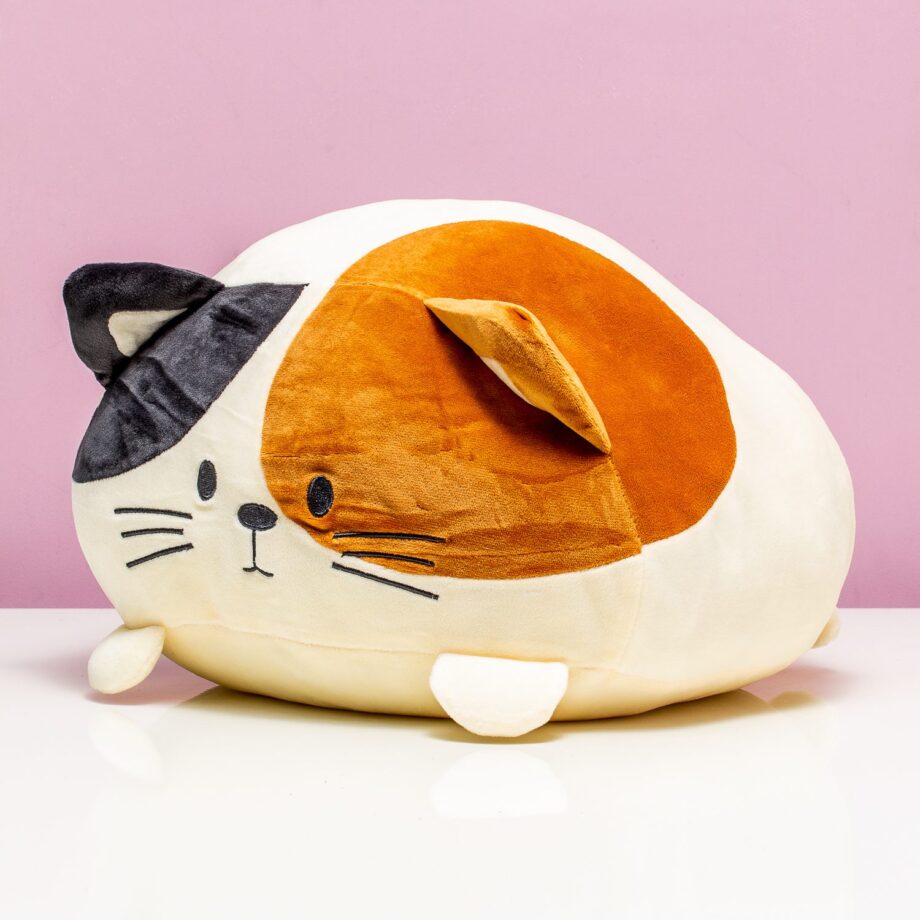 Kattenkussen