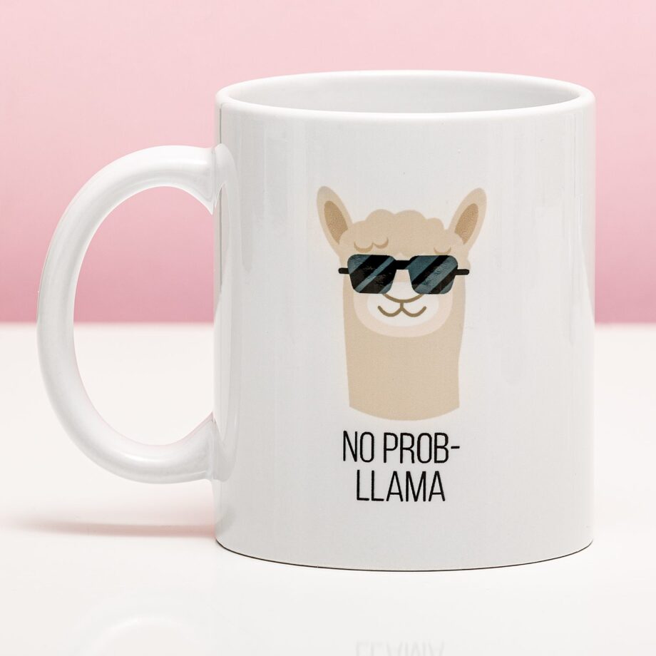 Mok No Prob-llama