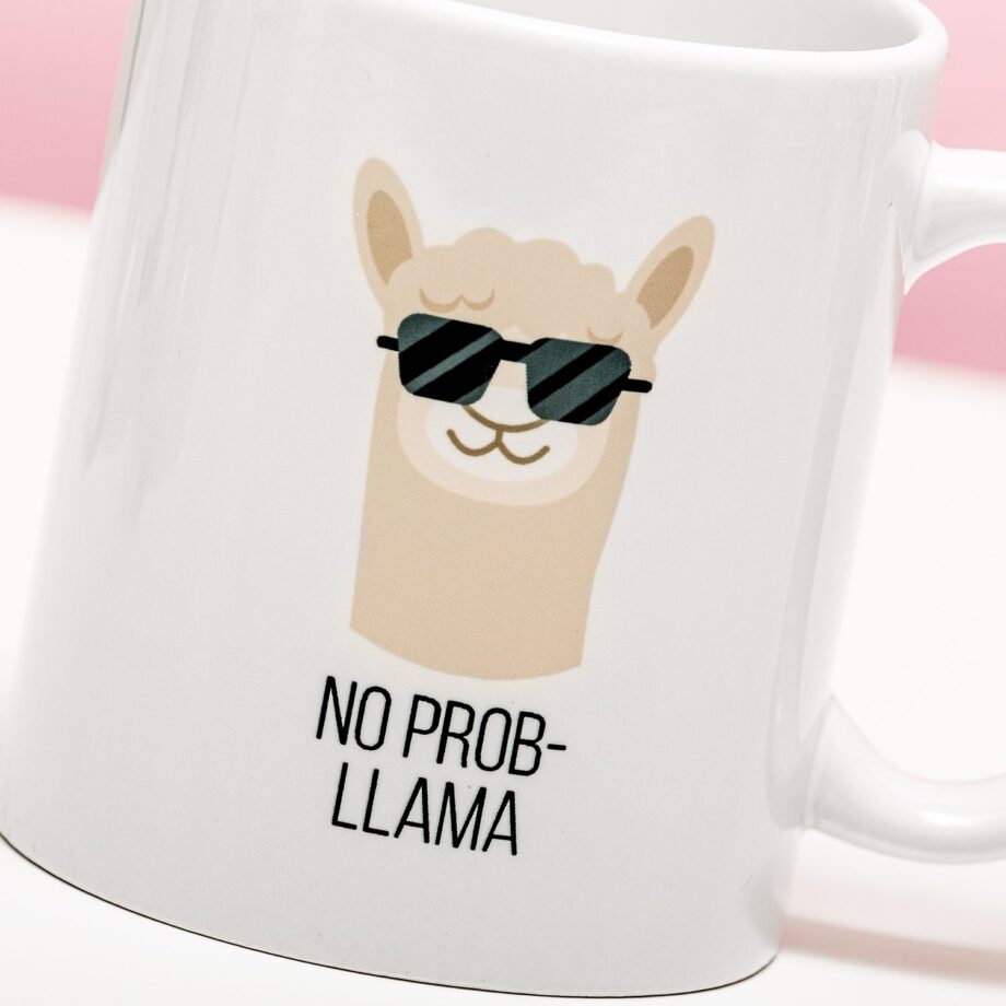 Mok No Prob-llama