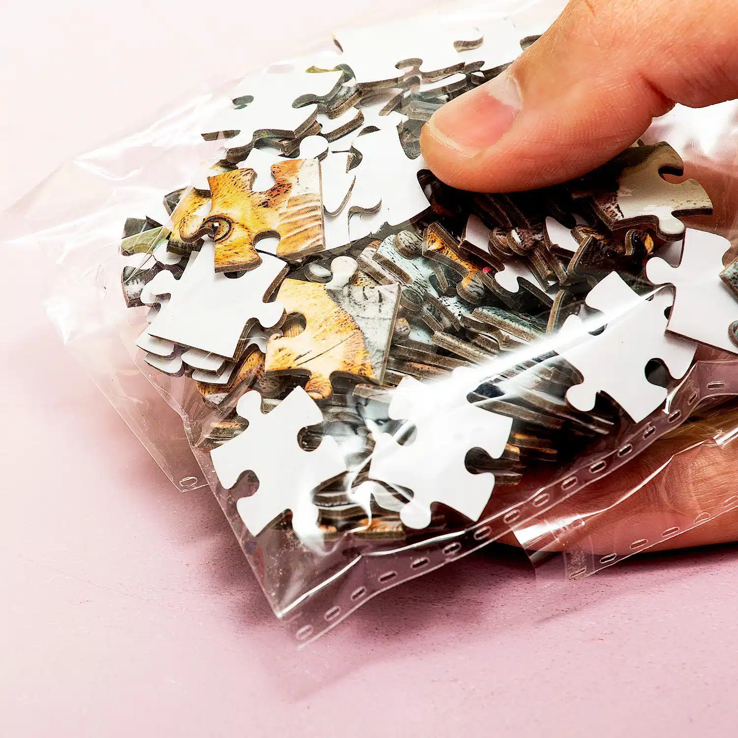 Pocket puzzel (100 stukjes)