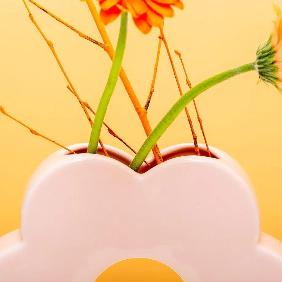 Daisy vaas