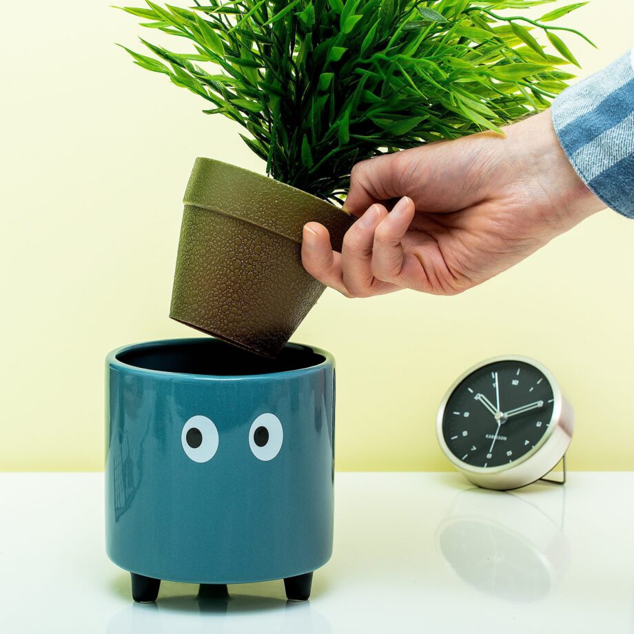 Bloempot met ogen