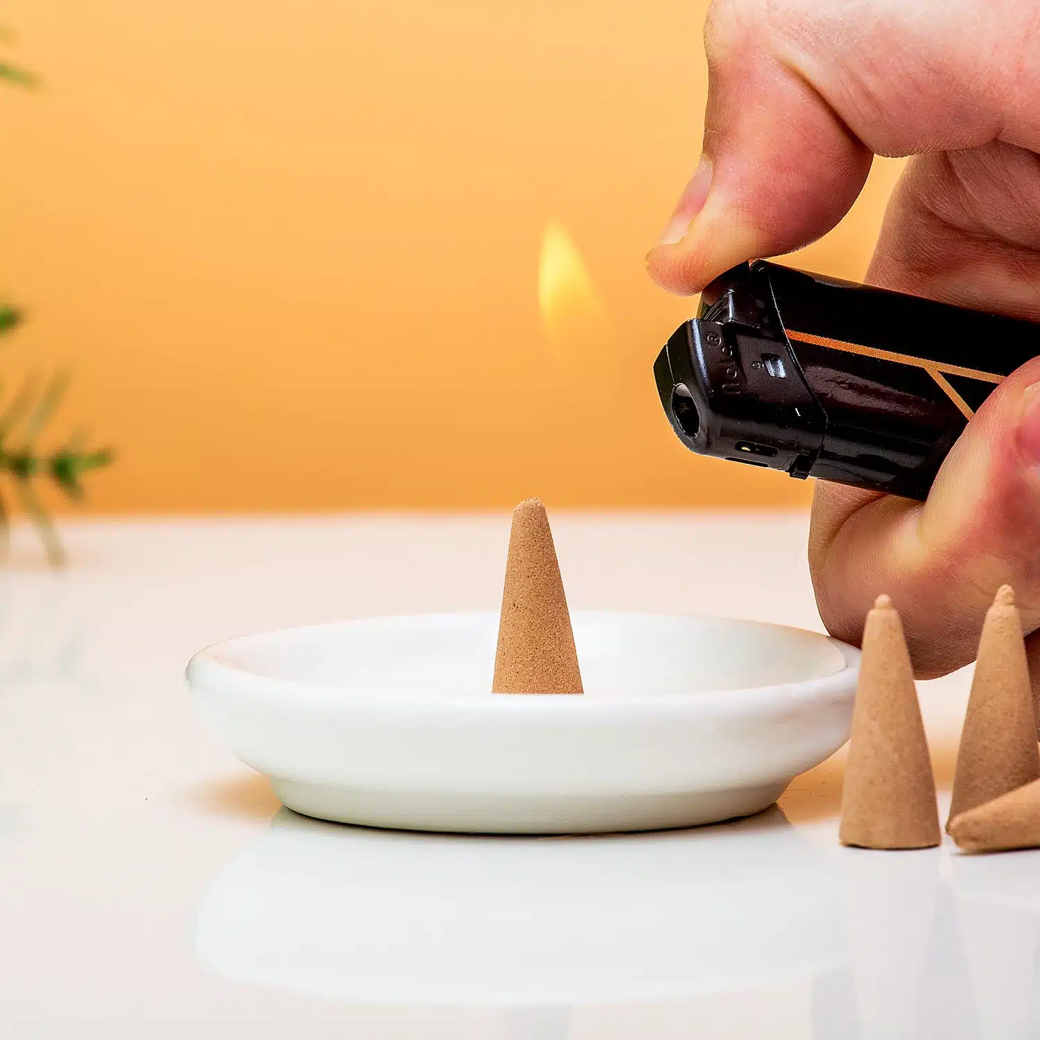 Paddenstoel geurbrander