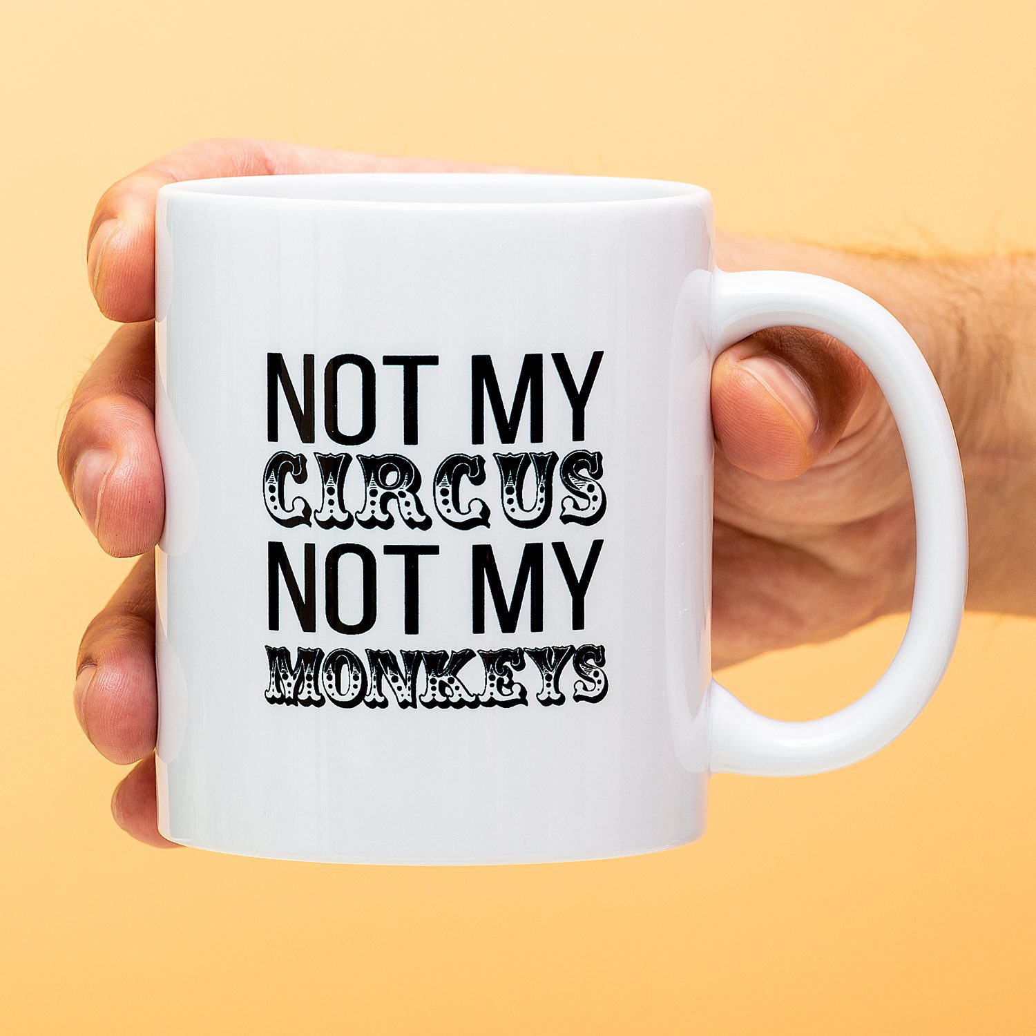 Mok Not My Circus Not My Monkeys