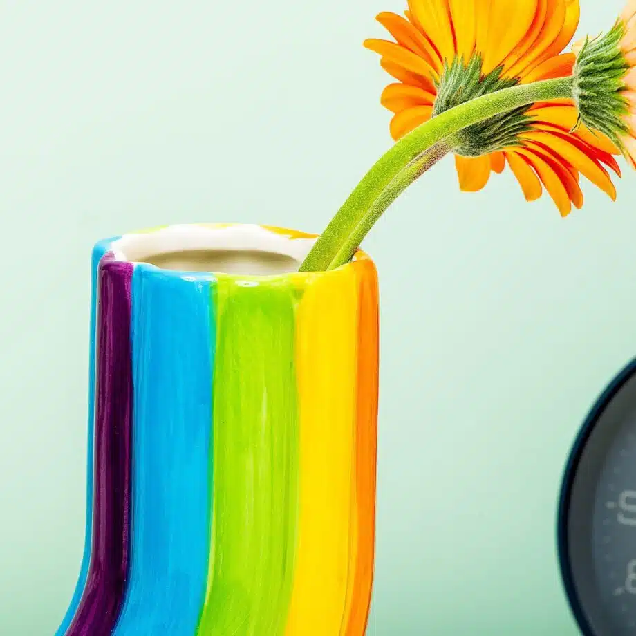 Regenboog vaas