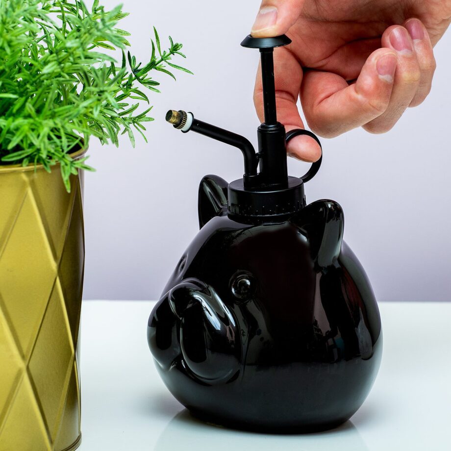 Kat plantenverstuiver
