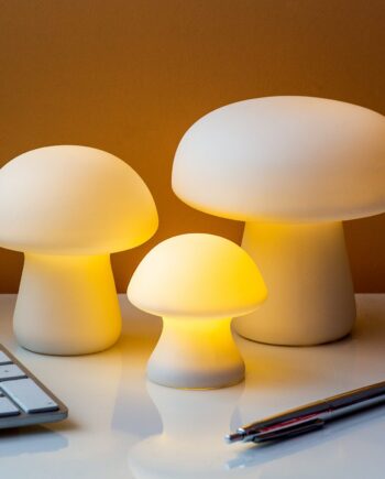 Paddenstoel lamp