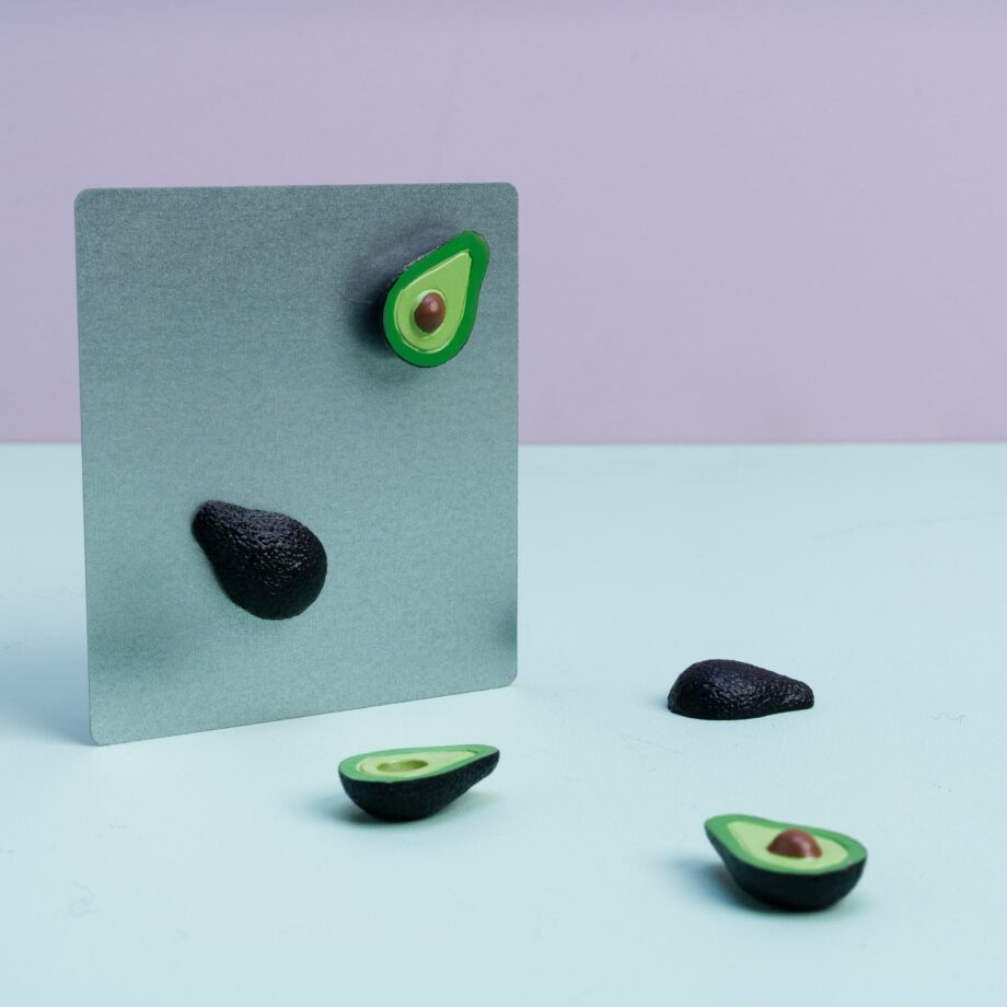 Avocado magneten (set van 5)