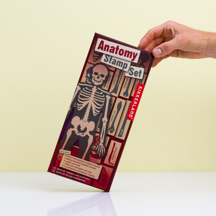Anatomie stempelset