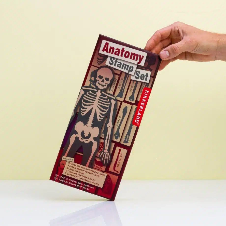 Anatomie stempelset