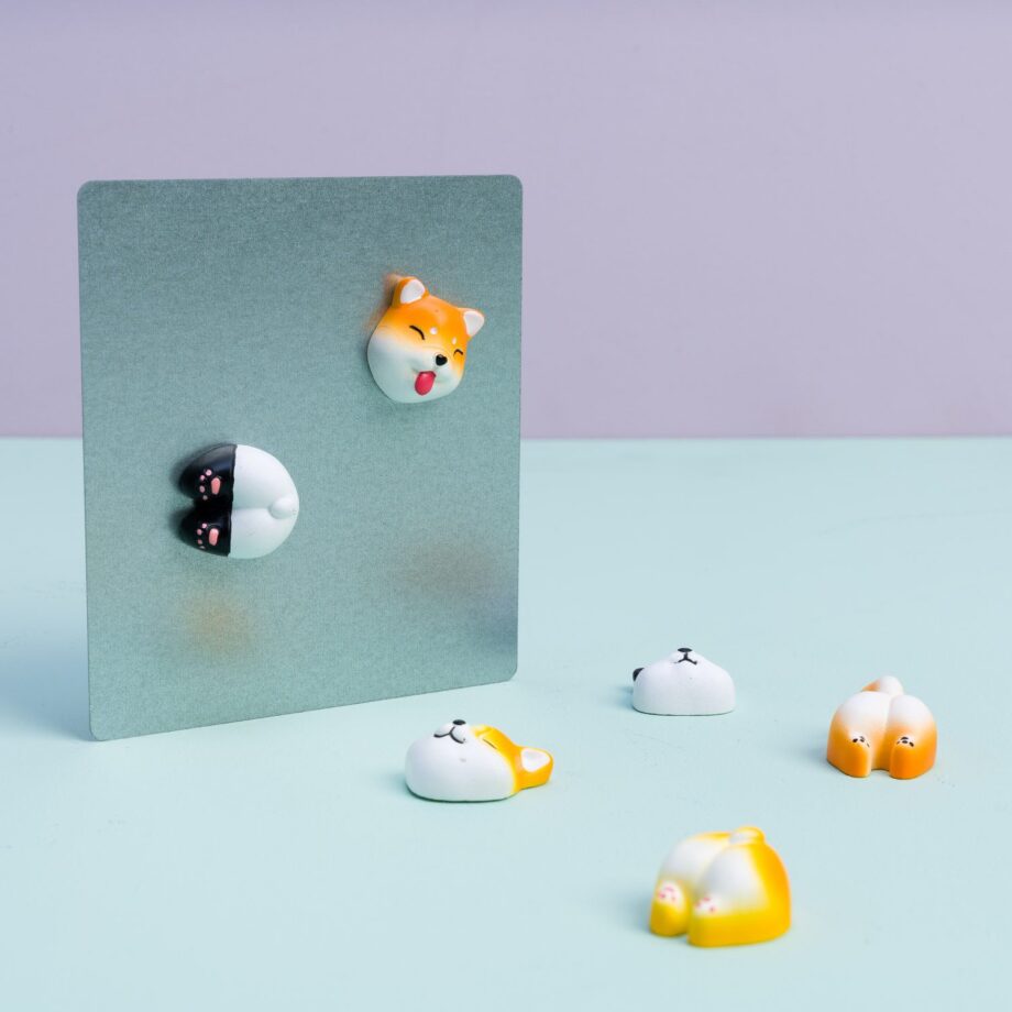 Schattige dierenmagneten (set van 6)