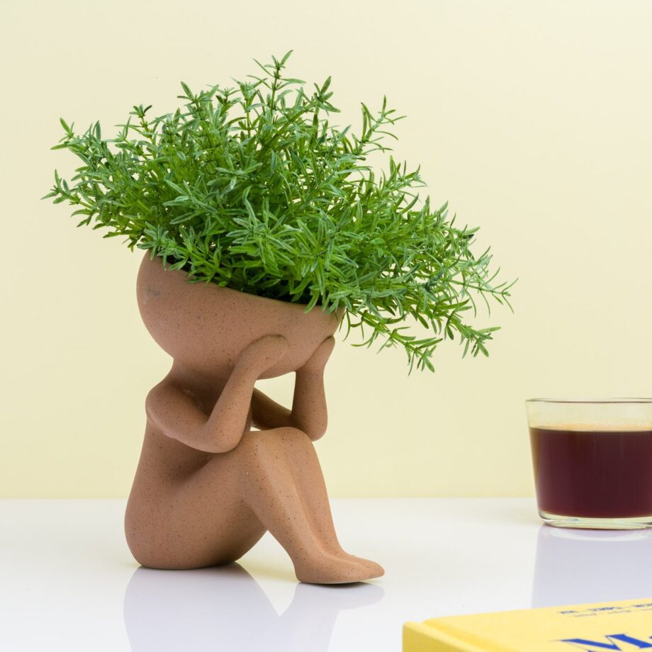 Planten in mijn hoofd bloempot