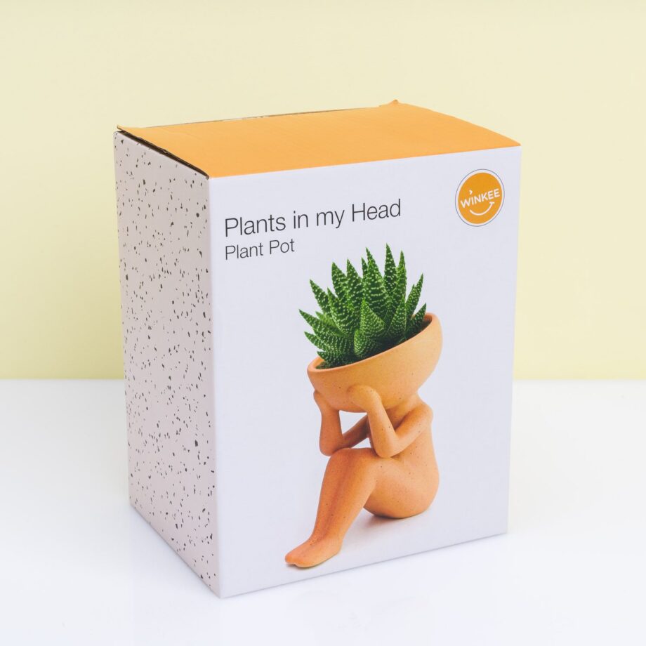 Planten in mijn hoofd bloempot