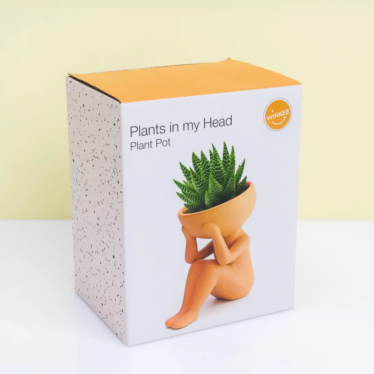 Planten in mijn hoofd bloempot