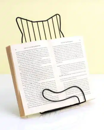 Kat boekenstandaard