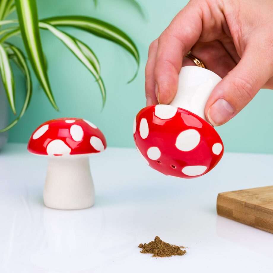 Paddenstoel peper- en zoutstel